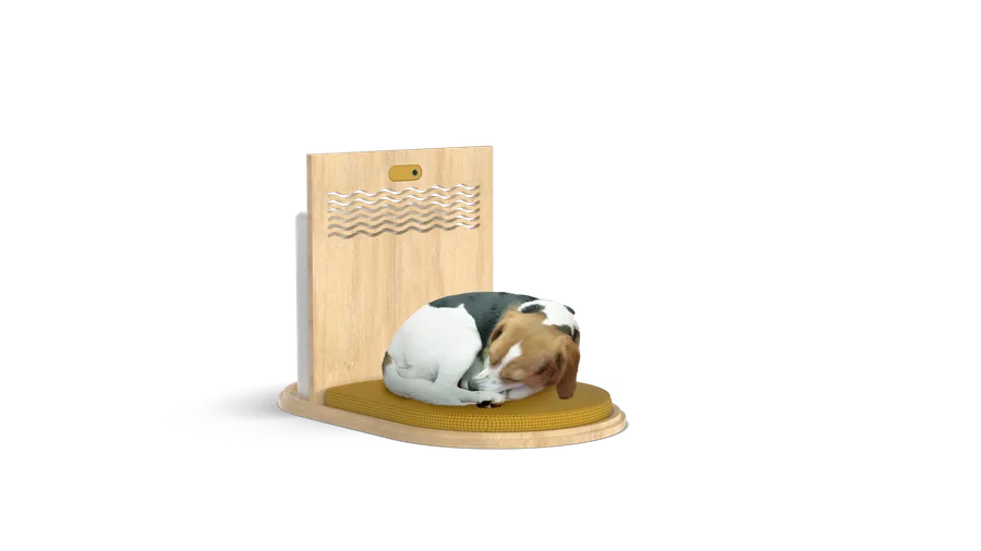 ハウス内カメラから見た内部の様子